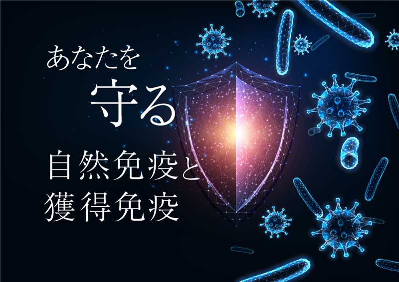 病原体から身体を守る！自然免疫と獲得免疫のすごいシステム